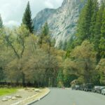 Marketing Fleet Management Solutions to Businesses at Dealerships: Betbook250 com, Reddy anna book online, Playlotus365 com