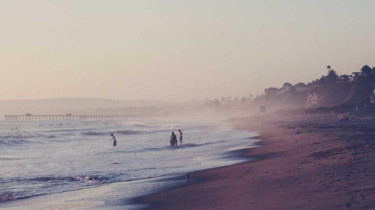 What Is The Official Cricbet99 Website Address?